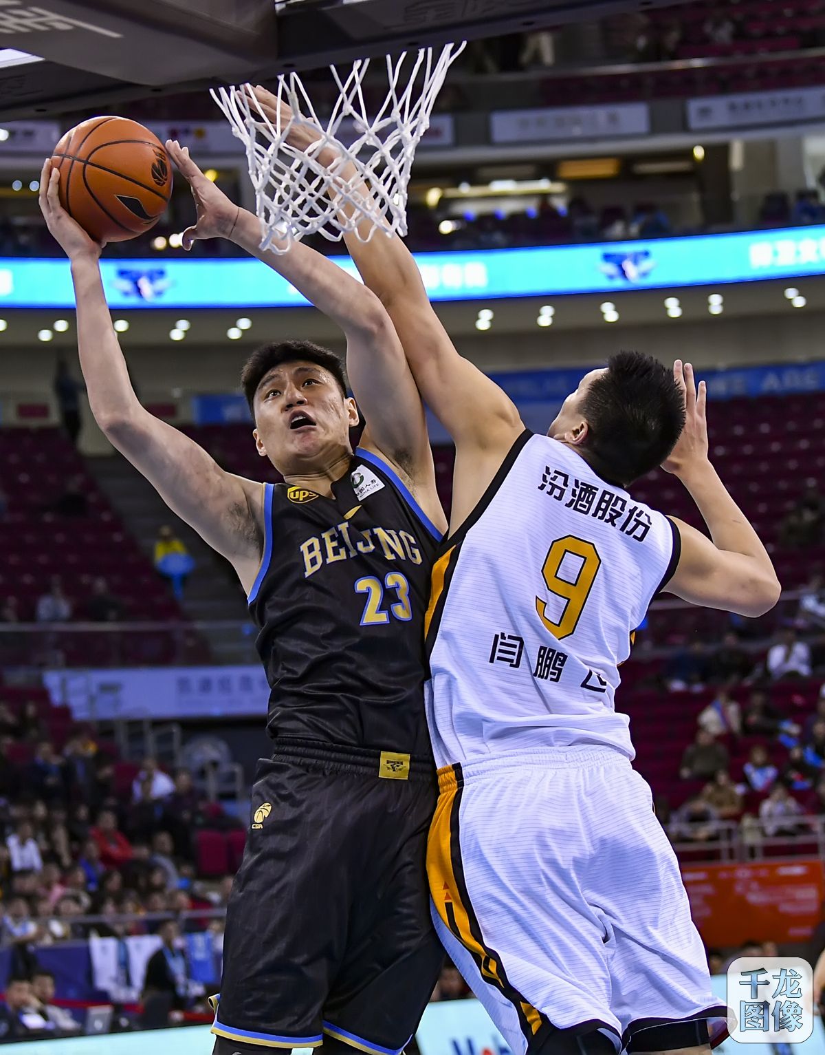 普和队友们 普和队友们