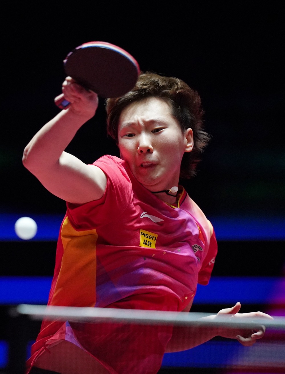 迷和专家对 迷和专家对