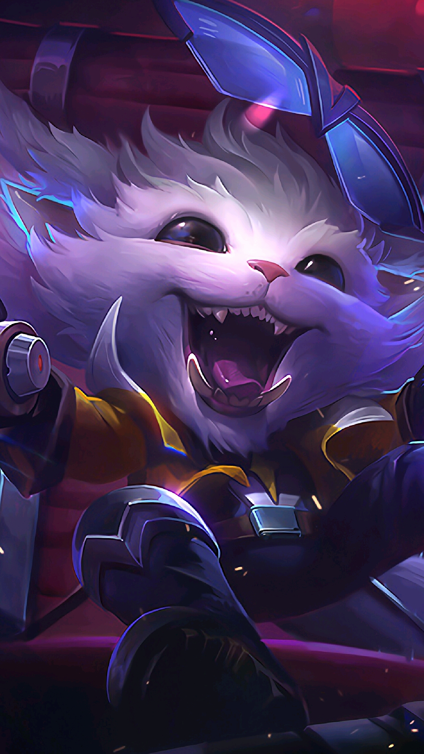 队长的自律 队长的自律